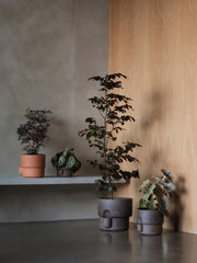 Oasis flowerpot small
