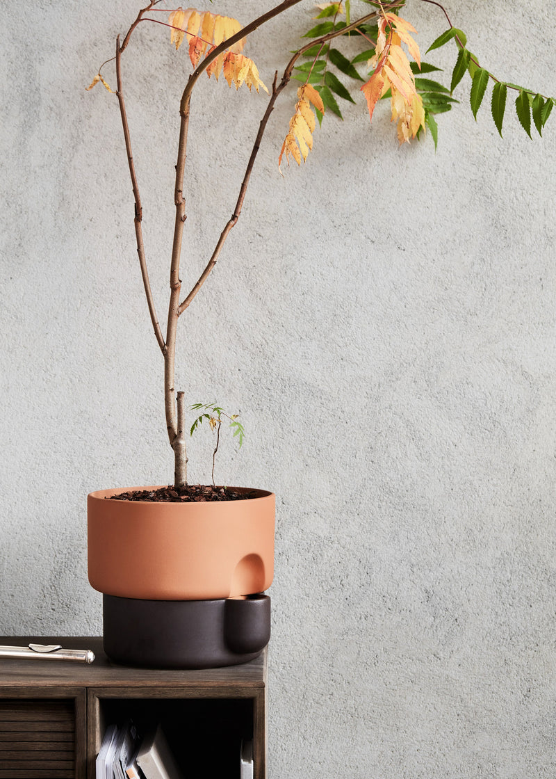 Oasis flowerpot large - Dark brown