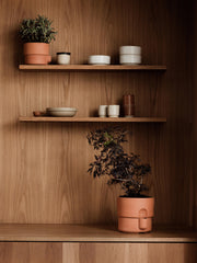 Oasis flowerpot medium