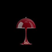 Opaque Burgundy