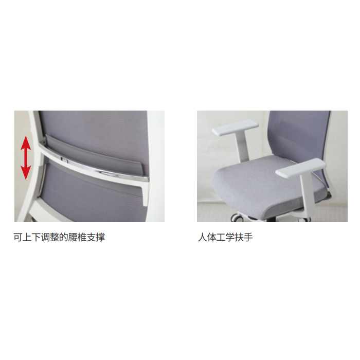Sao Mid Back Chair - YZPS-00566 - SPLIT Series