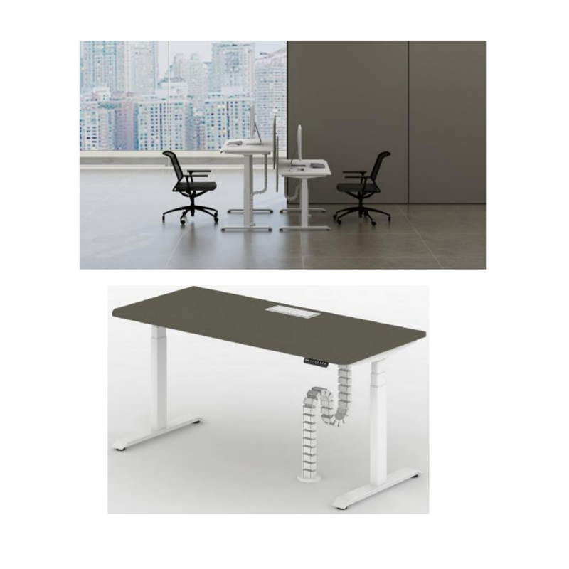 Sao - TPFS-SDT14 - Height Adjustable Single Seater Workstation - MyConcept Hong Kong