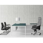 Sao Executive Desk - TPFS-0050N Gano-P Series - MyConcept Hong Kong