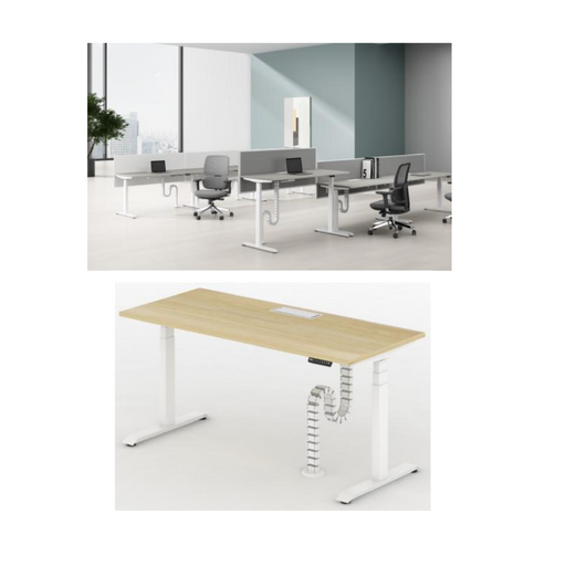 Sao - T3AS-SDT14 - Height Adjustable Single Seater Workstation - MyConcept Hong Kong
