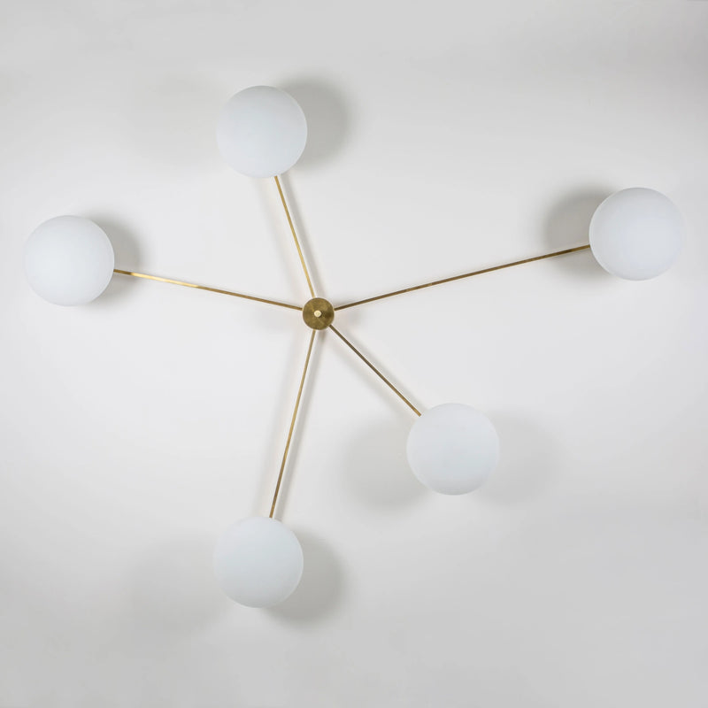STELLA STARFISH Lamp - MyConcept Hong Kong