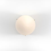 SOLARE VIRGIN Lamp - MyConcept Hong Kong