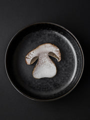New Norm Bowl - MyConcept Hong Kong