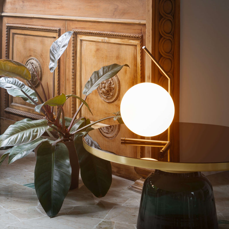 Flos IC T1 Table Lamps - MyConcept Hong Kong