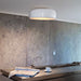 Flos Smithfield Ceiling Pro Lamp - MyConcept Hong Kong