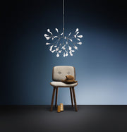 HERACLEUM II S - MyConcept Hong Kong