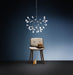 HERACLEUM II S - MyConcept Hong Kong