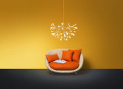 HERACLEUM II S - MyConcept Hong Kong