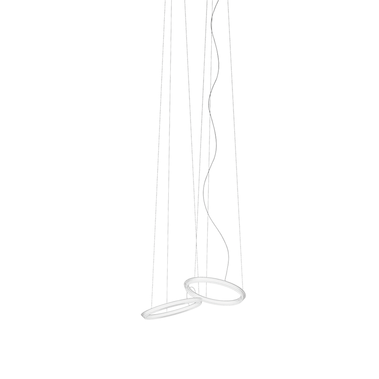 Halo Circular Pendant Lamp - MyConcept Hong Kong