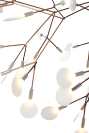 HERACLEUM II - MyConcept Hong Kong