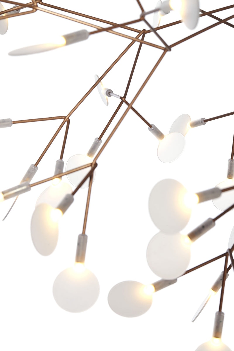 HERACLEUM II - MyConcept Hong Kong