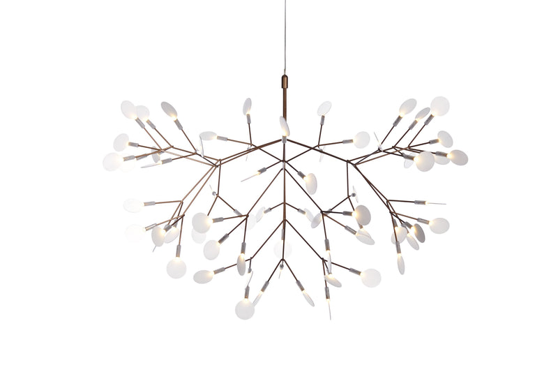 HERACLEUM II - MyConcept Hong Kong