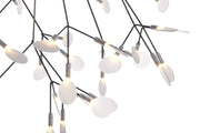 HERACLEUM II - MyConcept Hong Kong