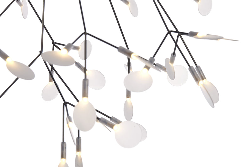 HERACLEUM II - MyConcept Hong Kong