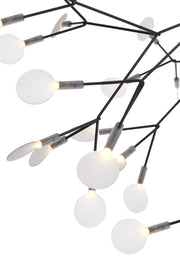 HERACLEUM II - MyConcept Hong Kong