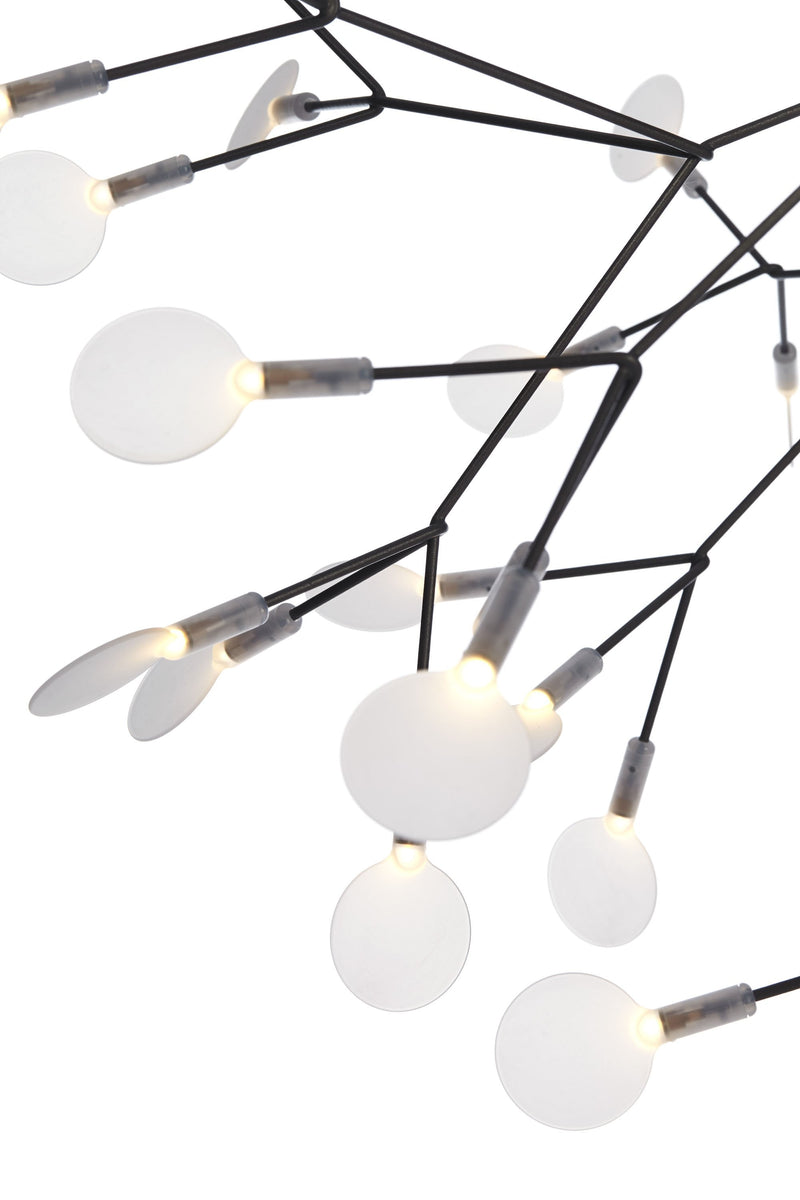 HERACLEUM II - MyConcept Hong Kong