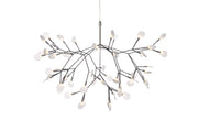 HERACLEUM II - MyConcept Hong Kong