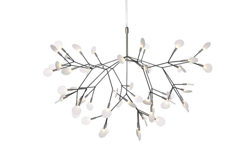HERACLEUM II - MyConcept Hong Kong