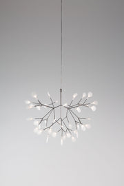 HERACLEUM II S - MyConcept Hong Kong