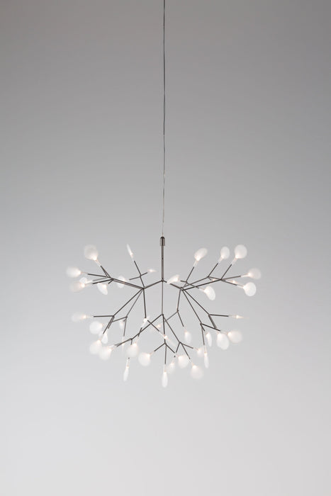 HERACLEUM II S - MyConcept Hong Kong