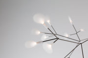HERACLEUM II S - MyConcept Hong Kong