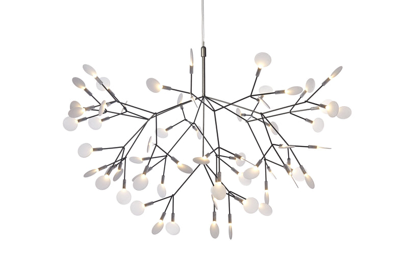 HERACLEUM II - MyConcept Hong Kong