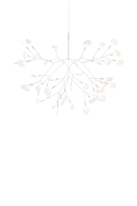 HERACLEUM III Suspended