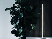 Flos Coordinates F Floor Lamp - MyConcept Hong Kong