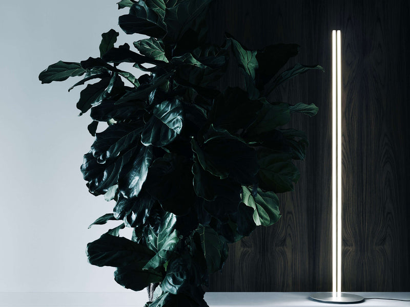 Flos Coordinates F Floor Lamp - MyConcept Hong Kong