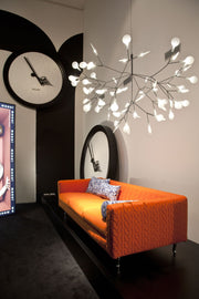 HERACLEUM II - MyConcept Hong Kong