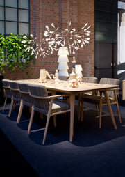 HERACLEUM II - MyConcept Hong Kong