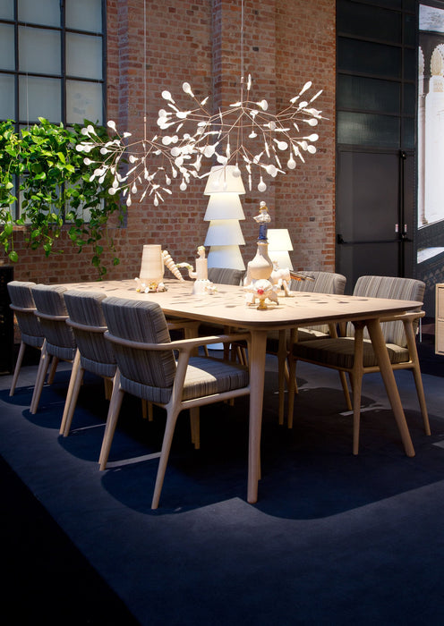 HERACLEUM II - MyConcept Hong Kong