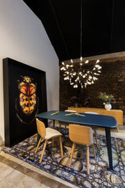 HERACLEUM II S - MyConcept Hong Kong