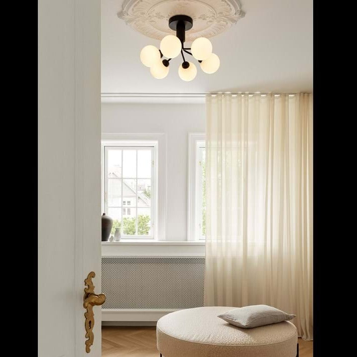Apiales 6 Ceiling Lamp - MyConcept Hong Kong