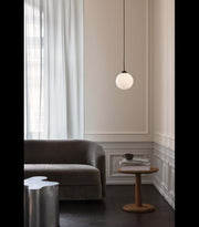 Apiales 1 Suspension Lamp - MyConcept Hong Kong