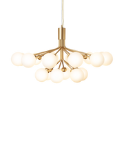 Apiales 18 Suspension Lamp - MyConcept Hong Kong