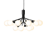 Apiales 18 Suspension Lamp - MyConcept Hong Kong