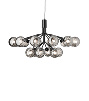 Apiales 18 Suspension Lamp - MyConcept Hong Kong