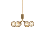 Apiales 6 Suspension Lamp - MyConcept Hong Kong