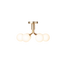 Apiales 6 Ceiling Lamp - MyConcept Hong Kong