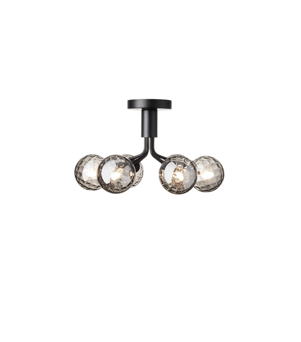 Apiales 6 Ceiling Lamp - MyConcept Hong Kong