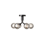 Apiales 6 Ceiling Lamp - MyConcept Hong Kong