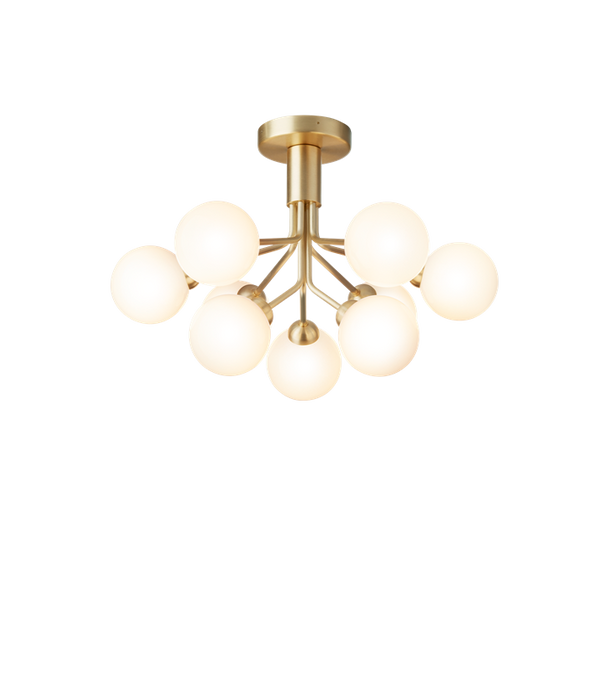 Apiales 9 Ceiling Lamp - MyConcept Hong Kong