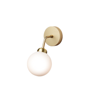 Apiales Wall Lamp - MyConcept Hong Kong
