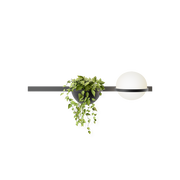 Palma Lineal Wall Lamp - MyConcept Hong Kong