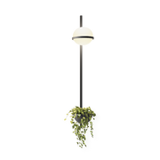 Palma Wall Lamp - MyConcept Hong Kong